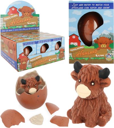 12x Hatching Highland Cow Growing Eggs