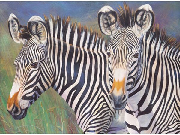 Royal and Langnickel- Large Paint By Numbers, Grevys Zebra | PJL49