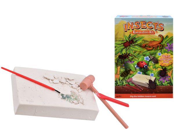 Insects Excavation Kit | TY6392