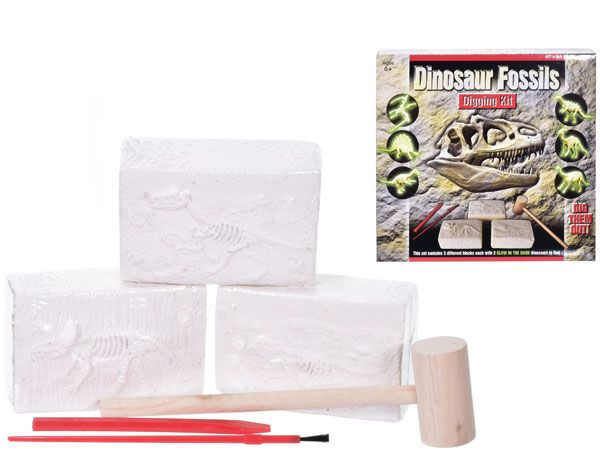 Dinosaur Fossils Digging Kit | Wholesale Bulk Buy