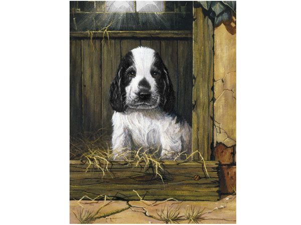 Royal and Langnickel- Paint By Numbers, Spaniel Puppy | PJS67