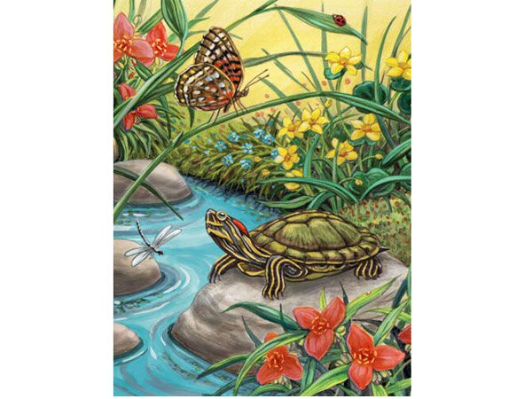 Royal and Langnickel- Paint By Numbers, Red Eared Slider | PJS91